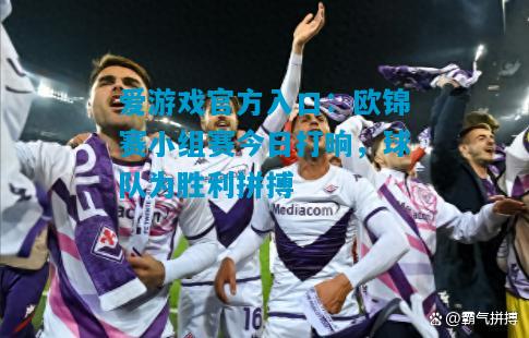 爱游戏官方入口：欧锦赛小组赛今日打响，球队为胜利拼搏