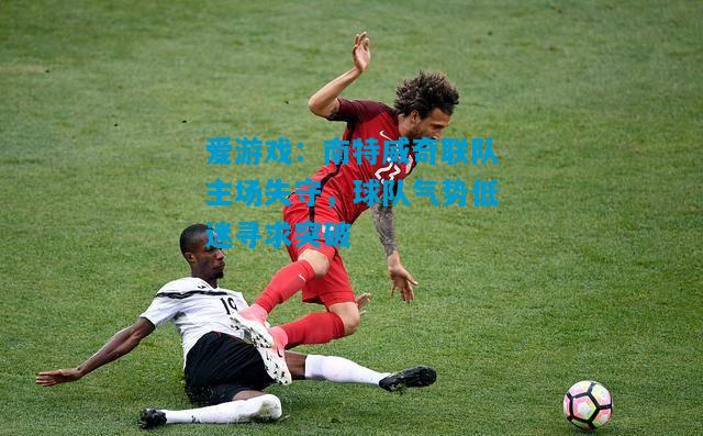 爱游戏：南特威奇联队主场失守，球队气势低迷寻求突破