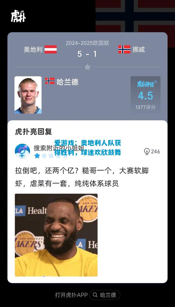 奥地利人队获得胜利，球迷欢欣鼓舞