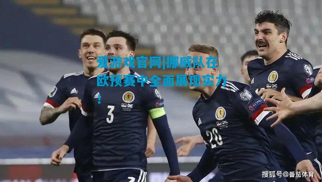 挪威队在欧预赛中全面展现实力！