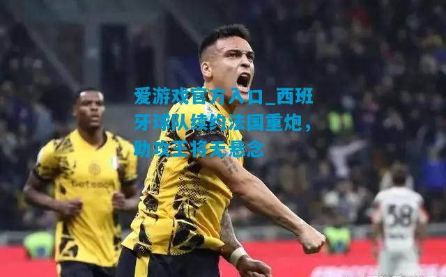 爱游戏官方入口_西班牙球队续约法国重炮，助攻王将无悬念