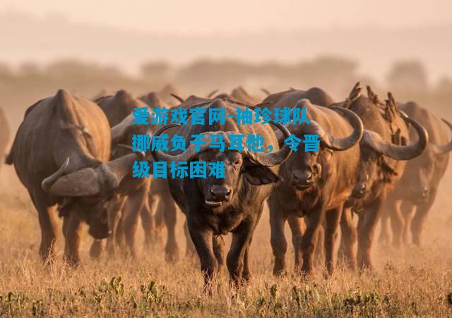 爱游戏官网-袖珍球队挪威负于马耳他，令晋级目标困难