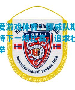 爱游戏体育：挪威队期待下一场比赛，追求壮举