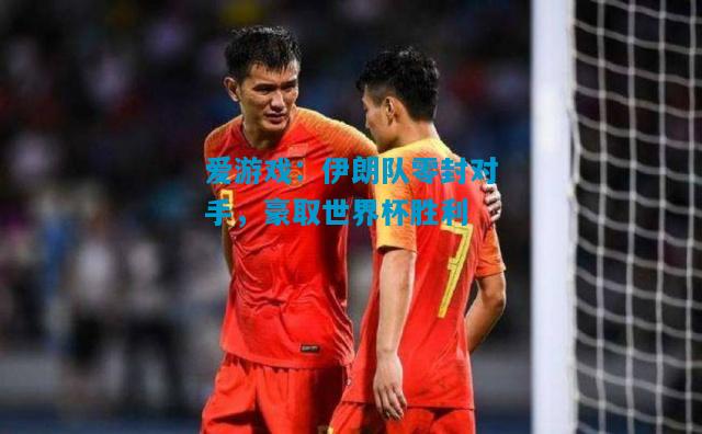 伊朗队零封对手，豪取世界杯胜利